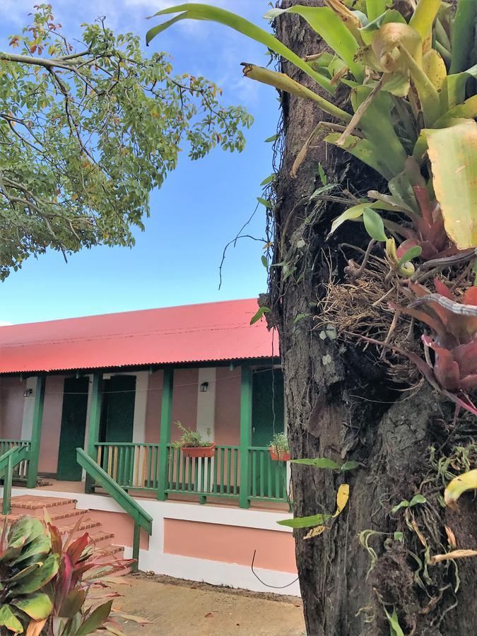 Hacienda Juanita Hotel Maricao Bagian luar foto